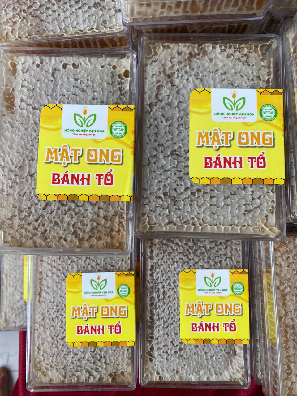 7d6ec3daeb1f67413e0e11 7d6ec3daeb1f67413e0e11